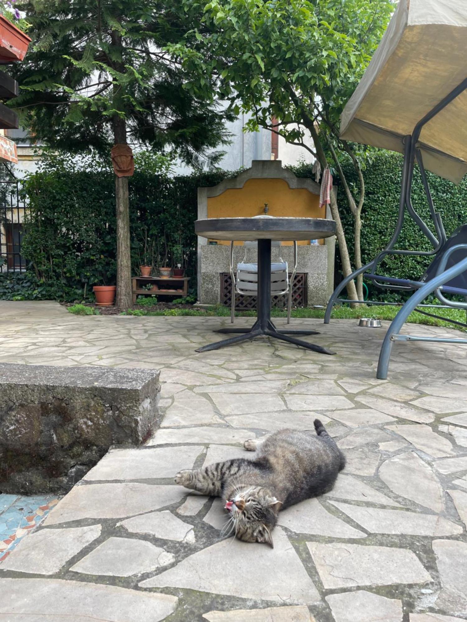 5Min Airport Apartment Surcin Luaran gambar